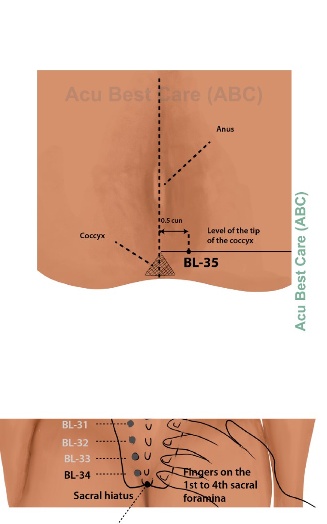 Acubestcare Meridian UB-35 or BL-35